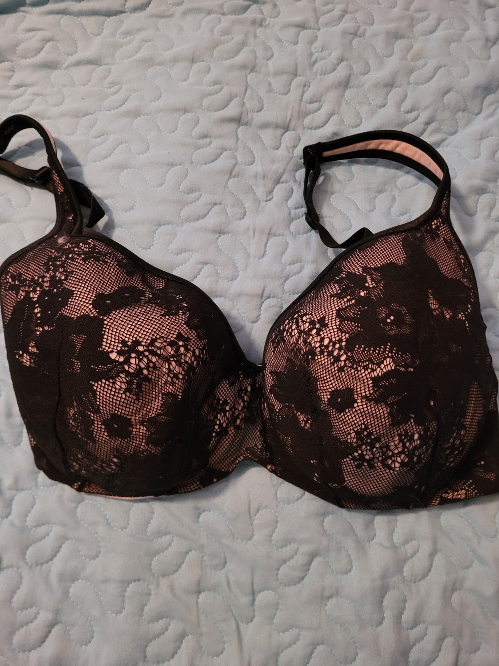 Cacique Black Lace Over Blush T-Shirt Bra - Picture 1 of 4
